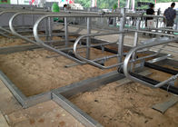3mm の厚さによって電流を通される管牛は乳牛の農場のために自由に停止します