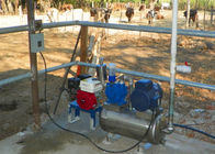 衛生バケツが付いている牛/ヒツジのバケツのアルミニウム携帯用搾り出す機械