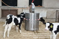 安全子牛きれいになること容易な供給装置の子牛供給機械