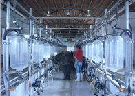 しぶき監視が付いているヘリンボンの搾り出すパーラーを搾り出す熱い電流を通された酪農場